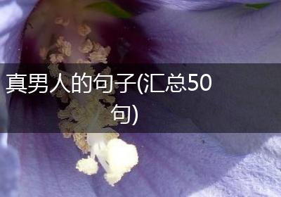 真男人的句子(汇总50句)