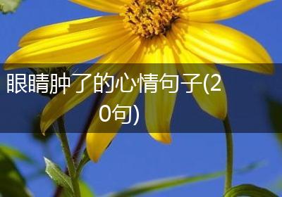 眼睛肿了的心情句子(20句)