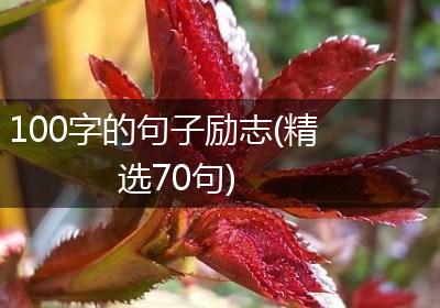 100字的句子励志(精选70句)
