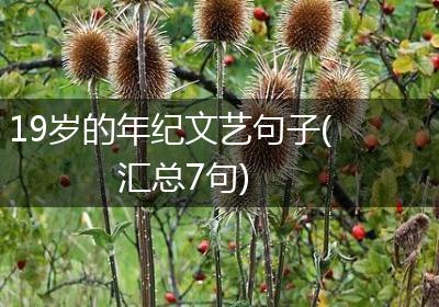 19岁的年纪文艺句子(汇总7句)