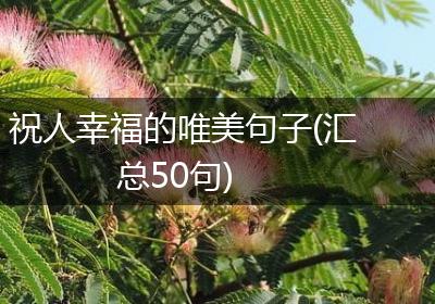 祝人幸福的唯美句子(汇总50句)