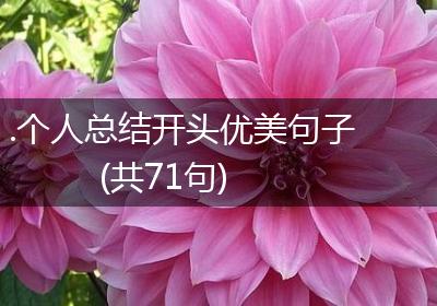 .个人总结开头优美句子(共71句)