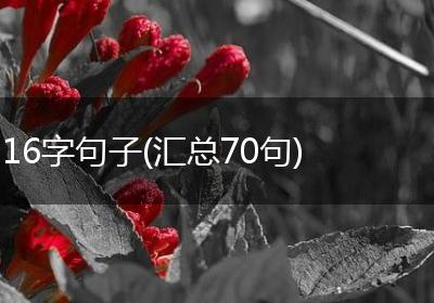 16字句子(汇总70句)