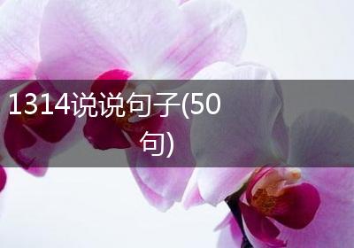 1314说说句子(50句)