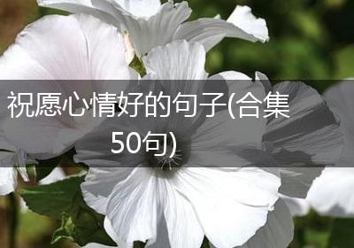 祝愿心情好的句子(合集50句)