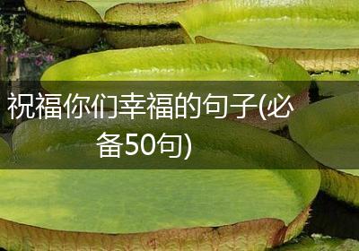 祝福你们幸福的句子(必备50句)