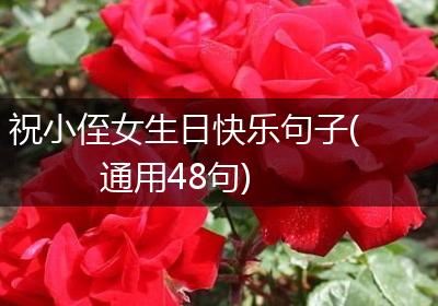 祝小侄女生日快乐句子(通用48句)
