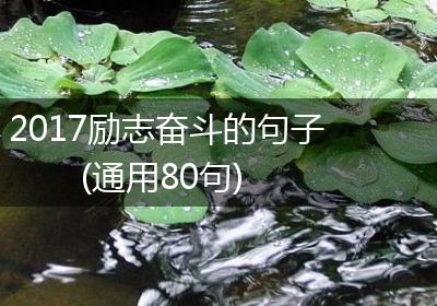 2017励志奋斗的句子(通用80句)