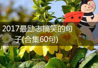 2017最励志搞笑的句子(合集60句)