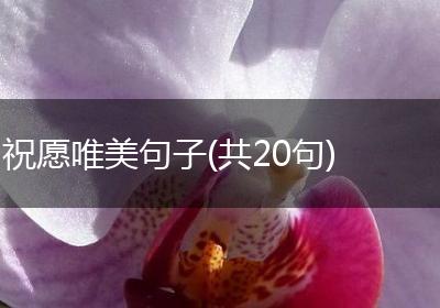 祝愿唯美句子(共20句)