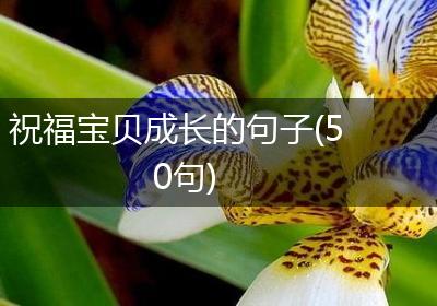 祝福宝贝成长的句子(50句)