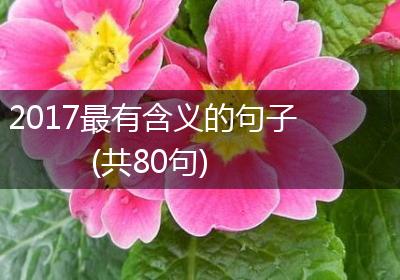 2017最有含义的句子(共80句)