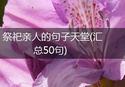 祭祀亲人的句子天堂(汇总50句)