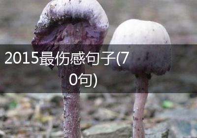 2015最伤感句子(70句)