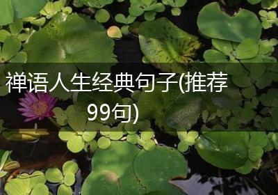 禅语人生经典句子(推荐99句)