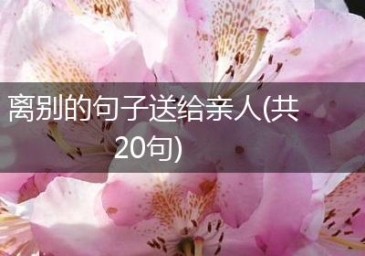 离别的句子送给亲人(共20句)