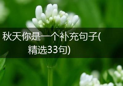 秋天你是一个补充句子(精选33句)