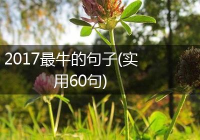 2017最牛的句子(实用60句)