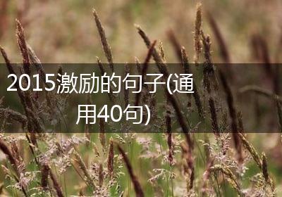 2015激励的句子(通用40句)