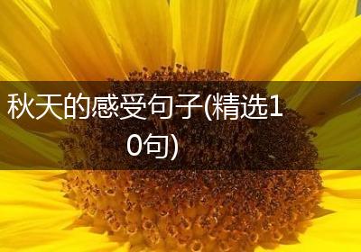 秋天的感受句子(精选10句)
