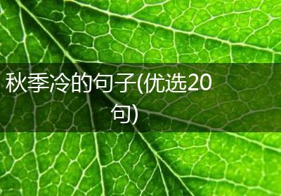 秋季冷的句子(优选20句)