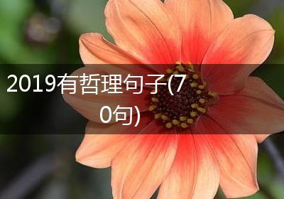 2019有哲理句子(70句)