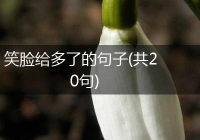 笑脸给多了的句子(共20句)