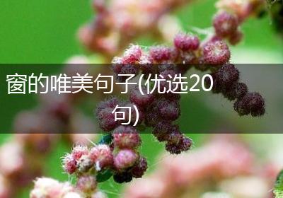 窗的唯美句子(优选20句)