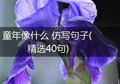 童年像什么 仿写句子(精选40句)
