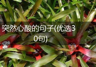 突然心酸的句子(优选30句)