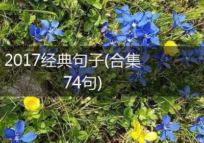 2017经典句子(合集74句)