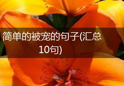 简单的被宠的句子(汇总10句)