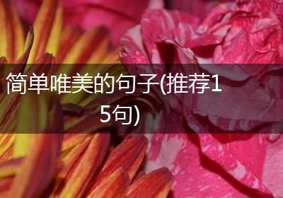 简单唯美的句子(推荐15句)