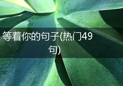 等着你的句子(热门49句)