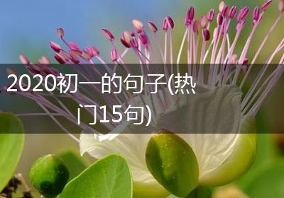 2020初一的句子(热门15句)