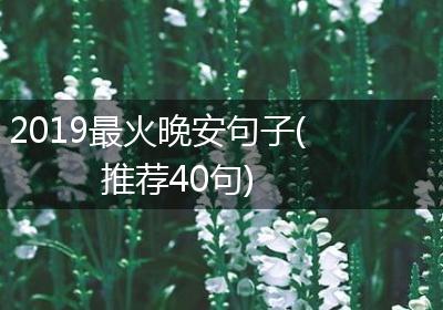 2019最火晚安句子(推荐40句)