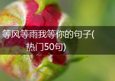 等风等雨我等你的句子(热门50句)