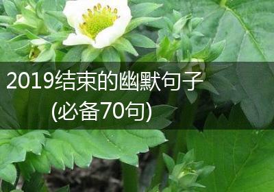 2019结束的幽默句子(必备70句)
