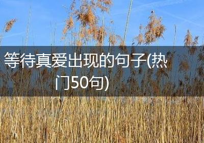 等待真爱出现的句子(热门50句)
