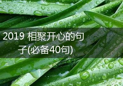 2019 相聚开心的句子(必备40句)
