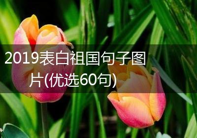 2019表白祖国句子图片(优选60句)