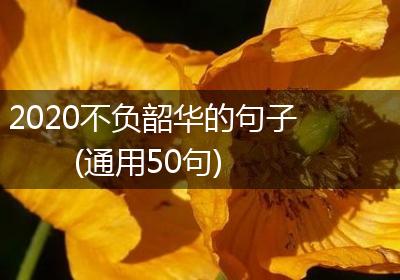 2020不负韶华的句子(通用50句)