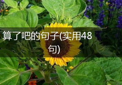 算了吧的句子(实用48句)