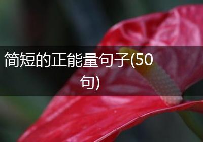 简短的正能量句子(50句)