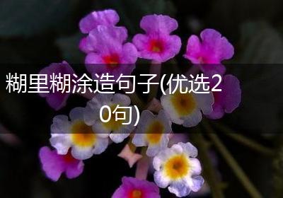 糊里糊涂造句子(优选20句)