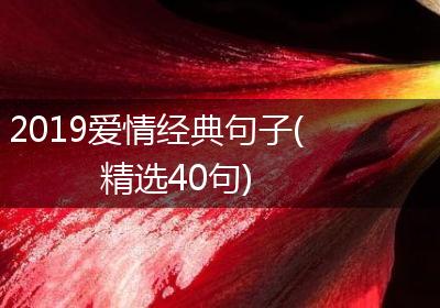 2019爱情经典句子(精选40句)