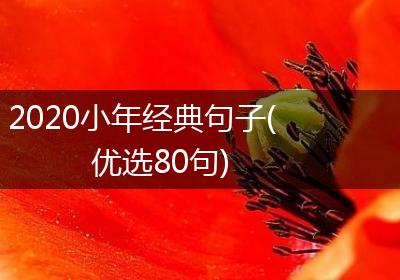 2020小年经典句子(优选80句)