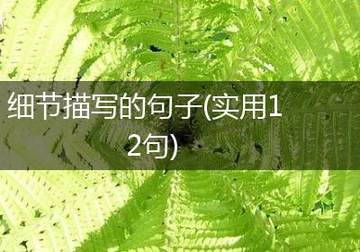 细节描写的句子(实用12句)