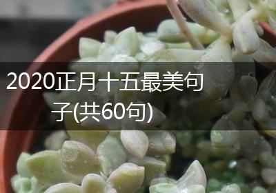 2020正月十五最美句子(共60句)