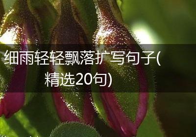细雨轻轻飘落扩写句子(精选20句)